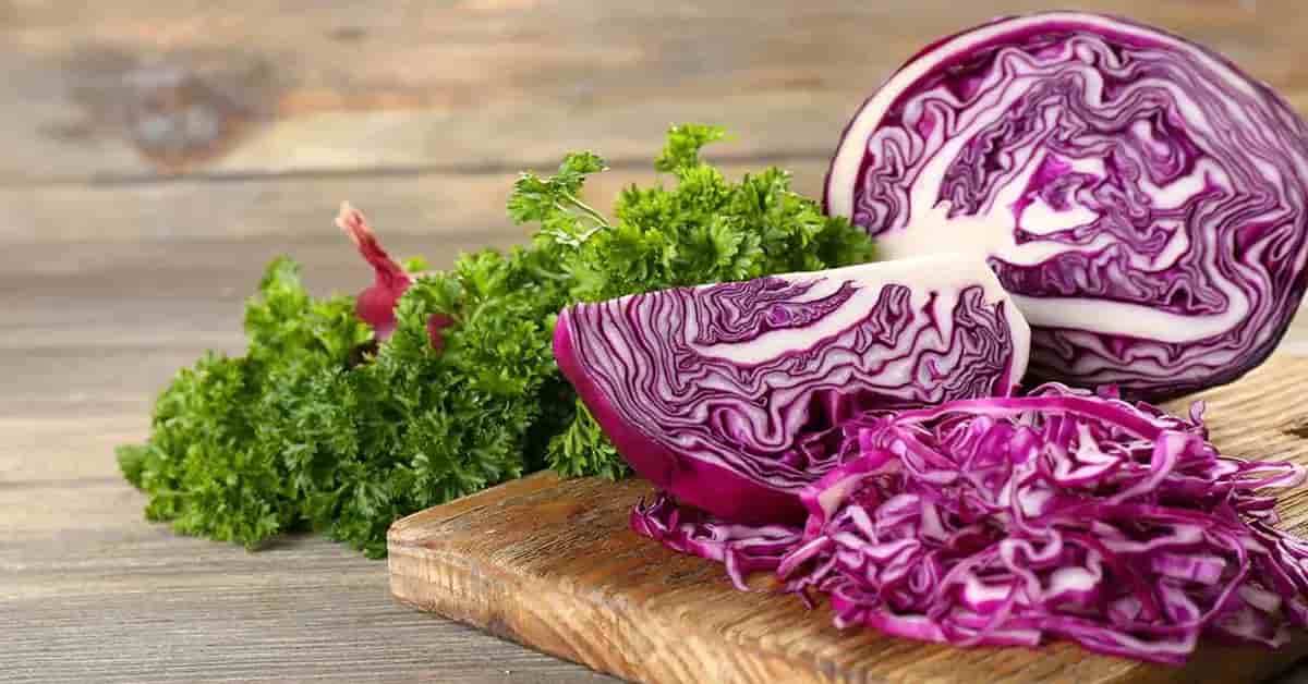 خرید و قیمت کلم قرمز + فروش عمده